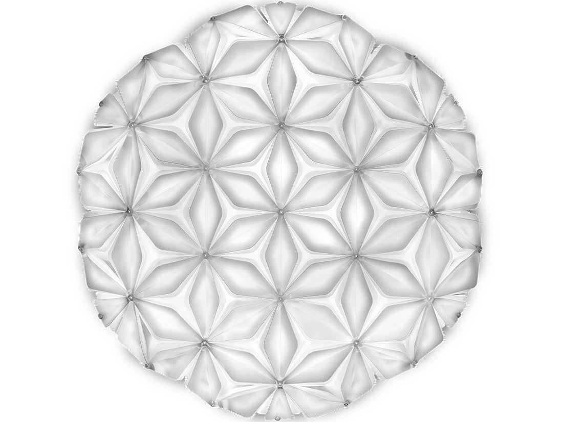 La Vie Ceiling/wall