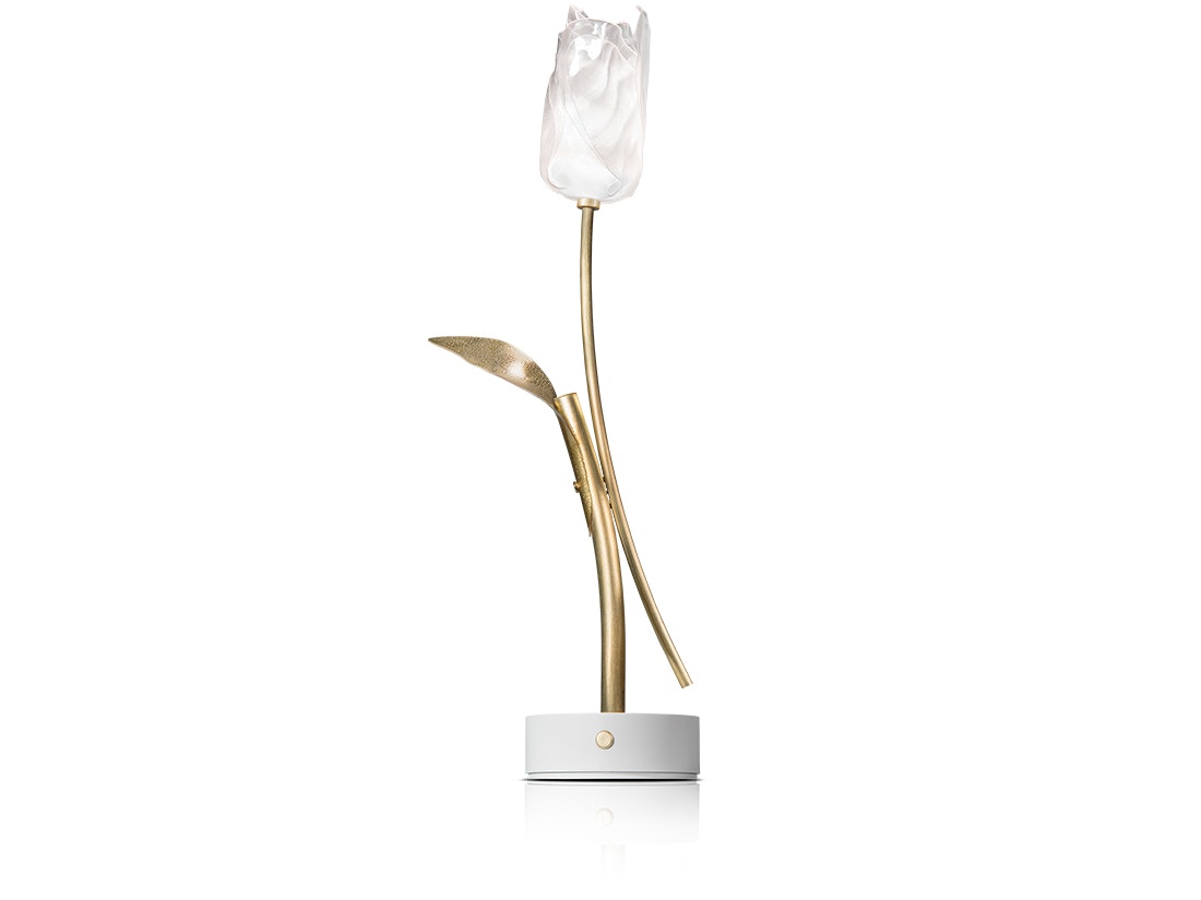 Tulip Battery